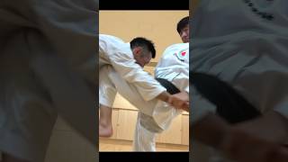 Fight with Heian Yondan【How to use Kata in Karate】 [upl. by Ayikahs534]