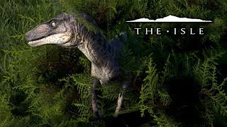 Sprinkles The Utahraptor  The Isle [upl. by Hakym219]