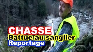 CHASSE  Battue au sanglier en Ardèche [upl. by Anaela594]