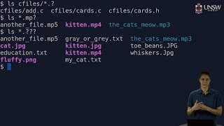 COMP2041COMP9041  Shell Globbing Filename Expansion [upl. by Eitsirhc]