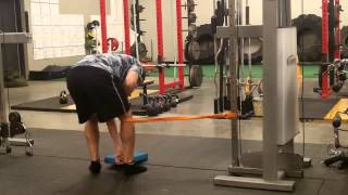 Patellar Tendon RecoveryAdductor Reverse Lunges [upl. by Lechar]