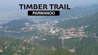 Timber Trail Resort Parwanoo  Best place for Winter Holidays in 2023 [upl. by Luehrmann940]