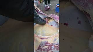 Fresh beef meat  Cutting meat meat [upl. by Oslec]