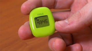 Review Fitbit Zip Wireless Activity Tracker [upl. by Tansey]