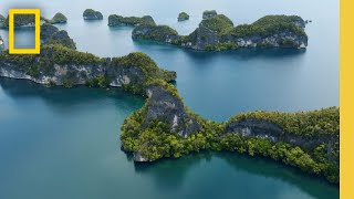 Raja Ampat The Last Stronghold of Healthy Coral Reefs  National Geographic [upl. by Ayhtak718]