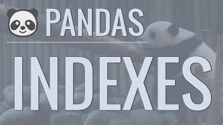 Python Pandas Tutorial Part 3 Indexes  How to Set Reset and Use Indexes [upl. by Torrey]