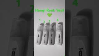 Hangi Renk Yeşil💚😇🙂🙃🥰😘😍 diy kalem lyrics lyrics midzy stabilo preppy art stabiloboss [upl. by English]