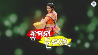 Kumna Bhitre Dhamna  Sambalpuri Instrumental Mix  Sbp Dj World [upl. by Snell261]