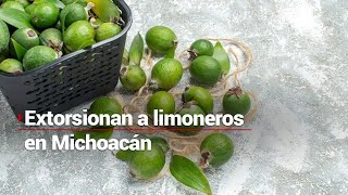 EXTORSIÓN A LIMONEROS  Se registra un incendio en una empacadora de limón en Michoacán [upl. by Else]