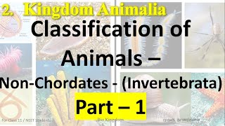 11th Class  Bio Zoology  Lesson 2  Kingdom Animalia  Invertebrata  Nonchordates  Part 1NEET [upl. by Coussoule]