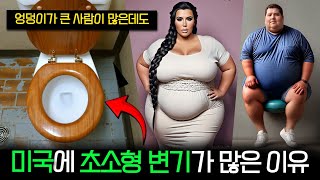 초고도 비만이 많은 미국에 소형 변기가 많은 이유 [upl. by Andri]