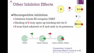 050Other Reversible Inhibitors [upl. by Aikem958]