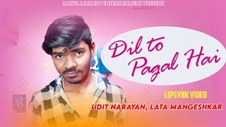 Dil To pagal Hai [upl. by Ratcliff]