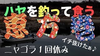 ハヤを釣って食う 恵方巻 Riverfishing [upl. by Enej]