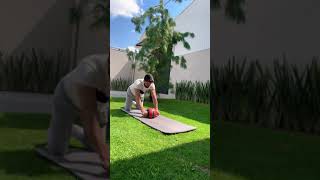 Rodillo para abdominales INNOVASHOP [upl. by Jerz227]