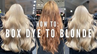 Hair Disaster Transforming Box dye to Blonde in one appointment with no breakage  tutorial [upl. by Fitzpatrick911]