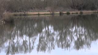 MOUSEHOLE LAKES NETTLESTEAD NEAR PADDOCK WOOD KENT [upl. by Glavin946]