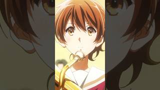 The Legacy of Sound Euphonium [upl. by Afesoj]