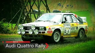 INSANE Audi Quattro Rally  Pure Sound [upl. by Haggi98]