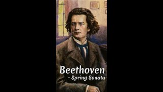 Beethoven  Spring Sonata Frühling violin lesson shorts [upl. by Natam193]