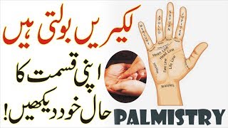 Hand Lines  Hand reading  Palmistry In Urdu  Hindi  ہاتھ کی لکیریں  Ilm e Najoom [upl. by Lerak]