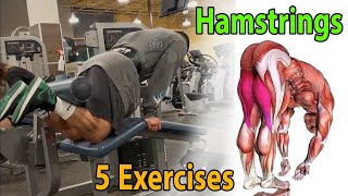 Hamstrings Top 5 Exercises  Best Hamstrings Workout [upl. by Ynwat61]