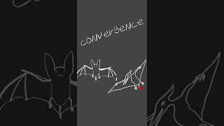 Convergent evolution conundrum science biology genetics evolution cmi [upl. by Nishi]