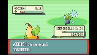 POKEMON EMERALD  WEEPINBELL  BARRERA  BARRIER [upl. by Allicsirp]