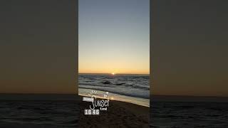 Sunset baltica sea music art beautiful like nature gold sun love beach shorts all [upl. by Socram268]