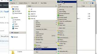 1417  Git  TortoiseGit Demo 2 [upl. by Fabri]