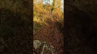 Nuovo pezzo di trail a SKABRIJEL MTB gopro enduro new trail [upl. by Nothsa649]