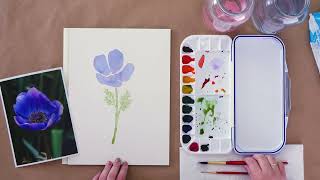 Loose Watercolor Anemones  A Beginners Guide [upl. by Enilram516]