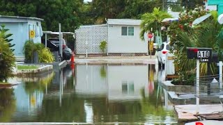 Zonas de Hialeah ya están inundadas y aún no llega el Huracán Milton [upl. by Reffotsirhc]