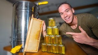 How honey is harvested  From beehive to jars [upl. by Hoebart]