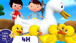 Five Little Ducks and Duckies  FOUR HOURS of Little Baby Bum Nursery Rhymes and Songs [upl. by Rist]