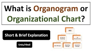 What is Organogram or Organizational Chart [upl. by Luthanen306]