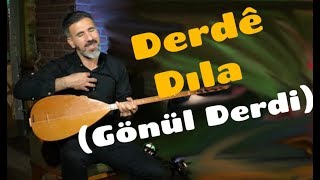 OY DERDO  AKUSTİK KLİP Servan Zana  Gönül derdi [upl. by Freeman651]