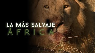 África más salvaje  Nilo una odisea africana [upl. by Nyloj]