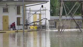 Jahrhundert Hochwasser Wien Hafen Albern 05062013 [upl. by Hsetim]