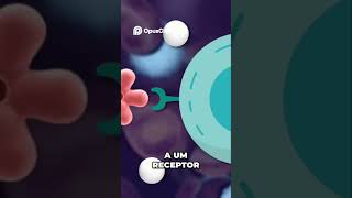 A FUNÇÃO DA INSULINA O QUE ACONTECE COM A GLICOSE 💉🍬 diabetes insulina [upl. by Anabella]