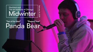 Panda Bear  “Part of the Math” amp “Shepard Tone”  Midwinter 2019 [upl. by Alol]