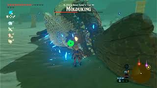 Zelda Breath of the Wild Molduking no damage [upl. by Dam]