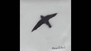 Needletail  Self Titled 2007 [upl. by Mona]