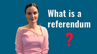 Explainer What is a referendum [upl. by Malinda]