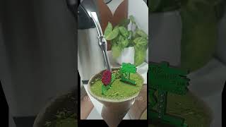 Como fazer Chimarrão Básico  Chima simples chimarrão confeitaria chimarraodecorado shortsviral [upl. by Hungarian]