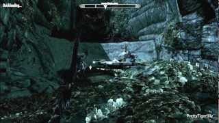 Skyrim Briarheart creation ritual Hagravens transform a man into a Briarheart [upl. by Orlosky]