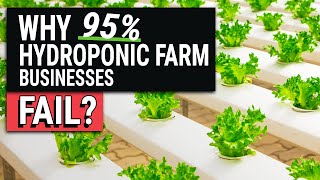 10 Reasons Hydroponic Farm Businesses Fail [upl. by Cannon]