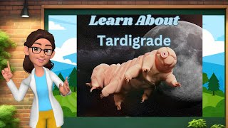 Learn About Water Bear  Tardigrade  Kids Learning  Kids Educational Animal Facts [upl. by Anyrb]