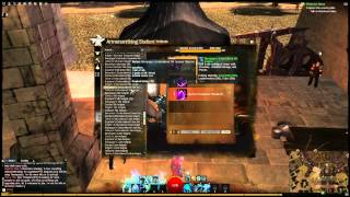 Guild Wars 2  Armorsmith Guide [upl. by Nathanil262]