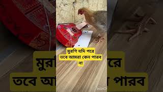 চেষ্টা করলেই হবে trendingdances funny kenolagesunnosunno trendingnow cutebaby cutebaby [upl. by Assirhc]